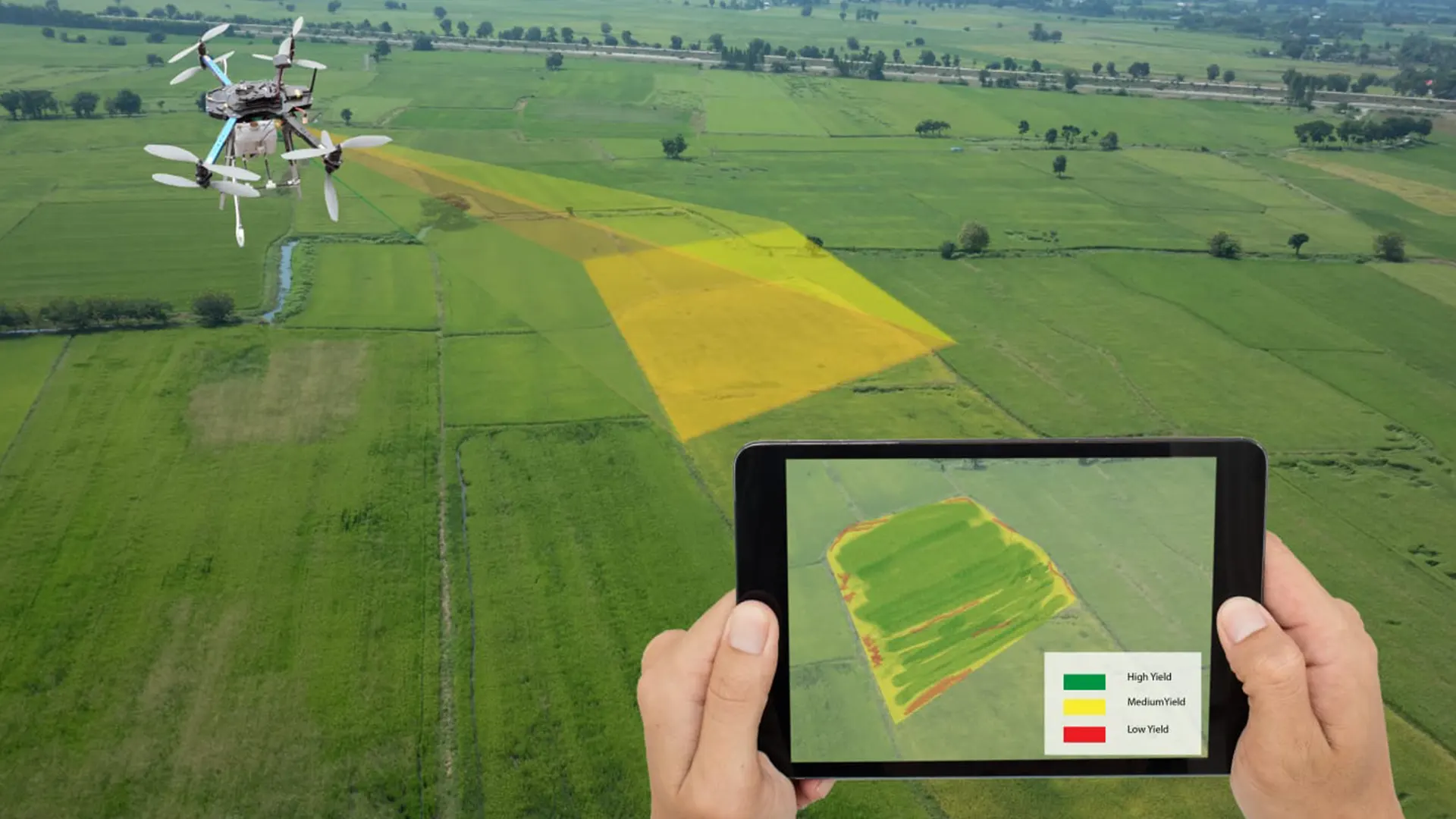 Precision agriculture in action: A drone equipped with advanced imaging technology scans crop fields, while real-time data is displayed on a tablet.